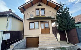 Casa cu brad